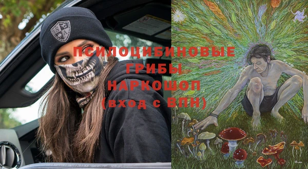 ешки Верея