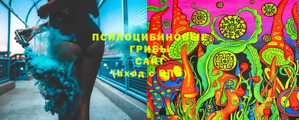 шишки Верхнеуральск