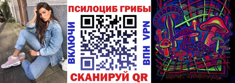 Псилоцибиновые грибы GOLDEN TEACHER  купить закладку  Пятигорск 